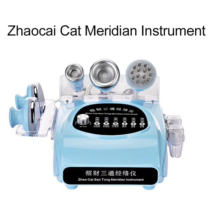 Electric Scraping Instrument,  - огляд і ціна Japanese Knife
